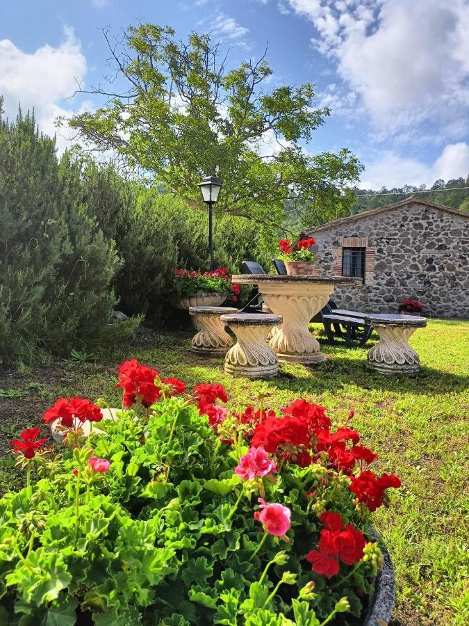 Meridiano 12 Bolsena Dış mekan fotoğraf
