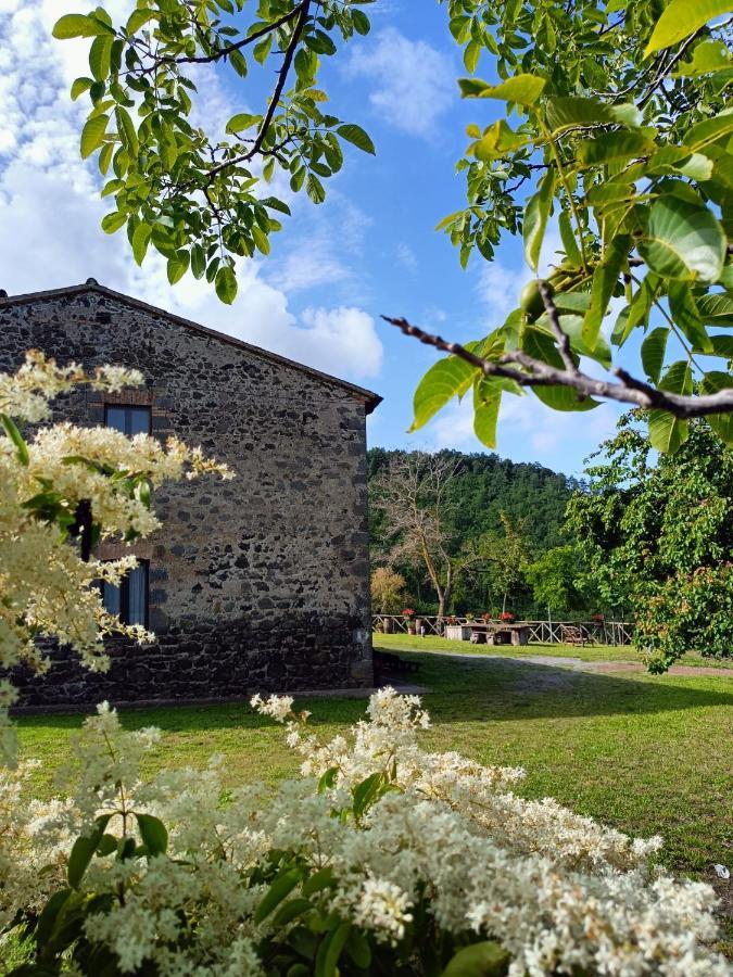 Meridiano 12 Bolsena Dış mekan fotoğraf