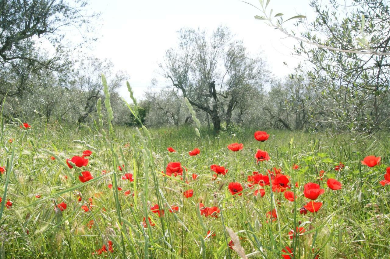 Meridiano 12 Bolsena Dış mekan fotoğraf